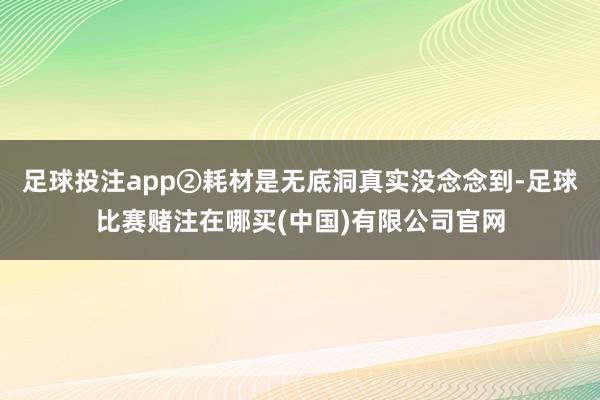 足球投注app②耗材是无底洞真实没念念到-足球比赛赌注在哪买(中国)有限公司官网