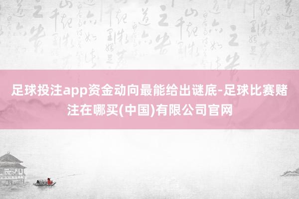 足球投注app资金动向最能给出谜底-足球比赛赌注在哪买(中国)有限公司官网