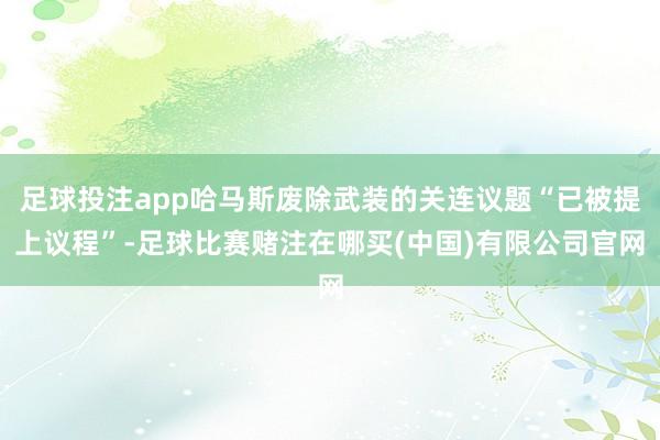 足球投注app哈马斯废除武装的关连议题“已被提上议程”-足球比赛赌注在哪买(中国)有限公司官网