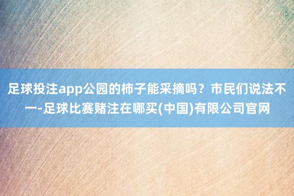 足球投注app公园的柿子能采摘吗？市民们说法不一-足球比赛赌注在哪买(中国)有限公司官网