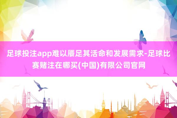 足球投注app难以餍足其活命和发展需求-足球比赛赌注在哪买(中国)有限公司官网