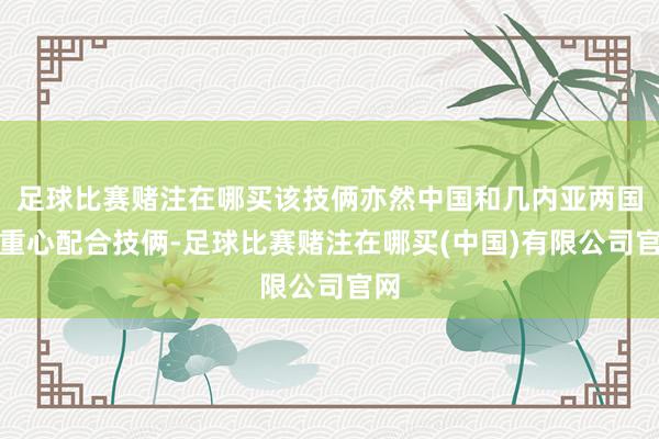 足球比赛赌注在哪买该技俩亦然中国和几内亚两国的重心配合技俩-足球比赛赌注在哪买(中国)有限公司官网
