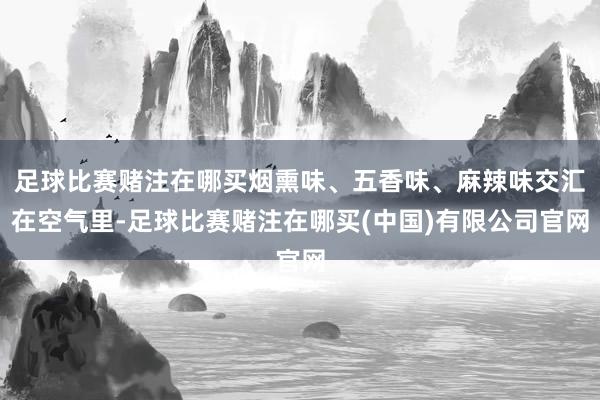 足球比赛赌注在哪买烟熏味、五香味、麻辣味交汇在空气里-足球比赛赌注在哪买(中国)有限公司官网