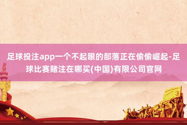 足球投注app一个不起眼的部落正在偷偷崛起-足球比赛赌注在哪买(中国)有限公司官网
