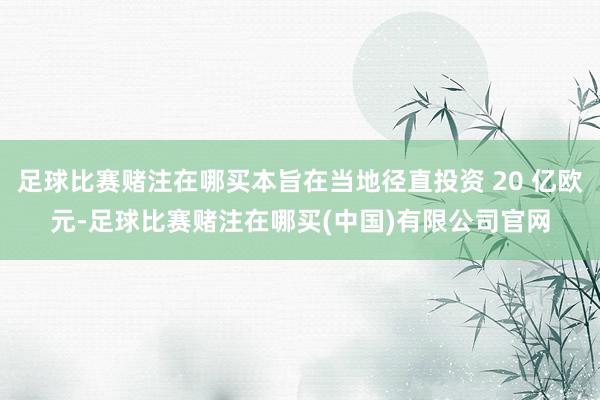 足球比赛赌注在哪买本旨在当地径直投资 20 亿欧元-足球比赛赌注在哪买(中国)有限公司官网
