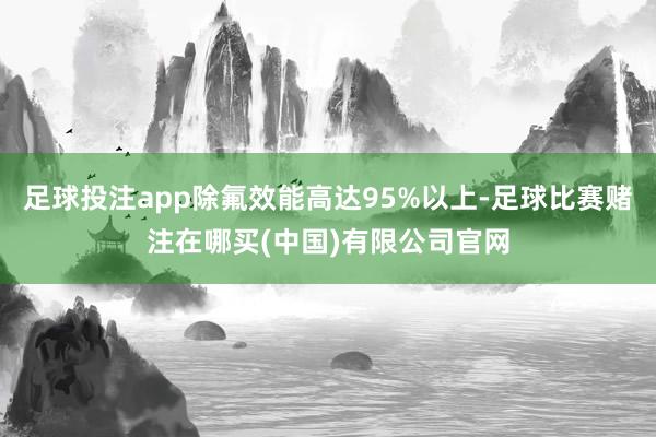 足球投注app除氟效能高达95%以上-足球比赛赌注在哪买(中国)有限公司官网