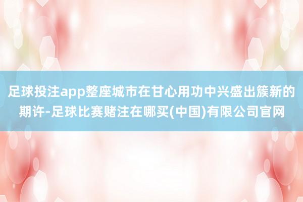 足球投注app整座城市在甘心用功中兴盛出簇新的期许-足球比赛赌注在哪买(中国)有限公司官网