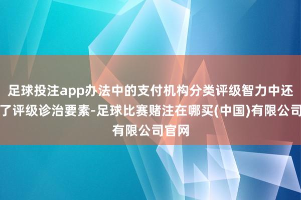 足球投注app办法中的支付机构分类评级智力中还建设了评级诊治要素-足球比赛赌注在哪买(中国)有限公司官网