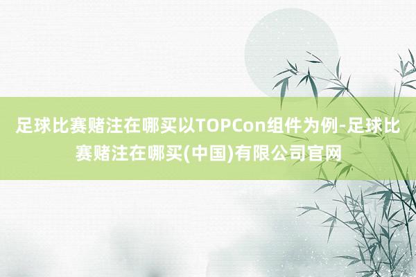 足球比赛赌注在哪买以TOPCon组件为例-足球比赛赌注在哪买(中国)有限公司官网